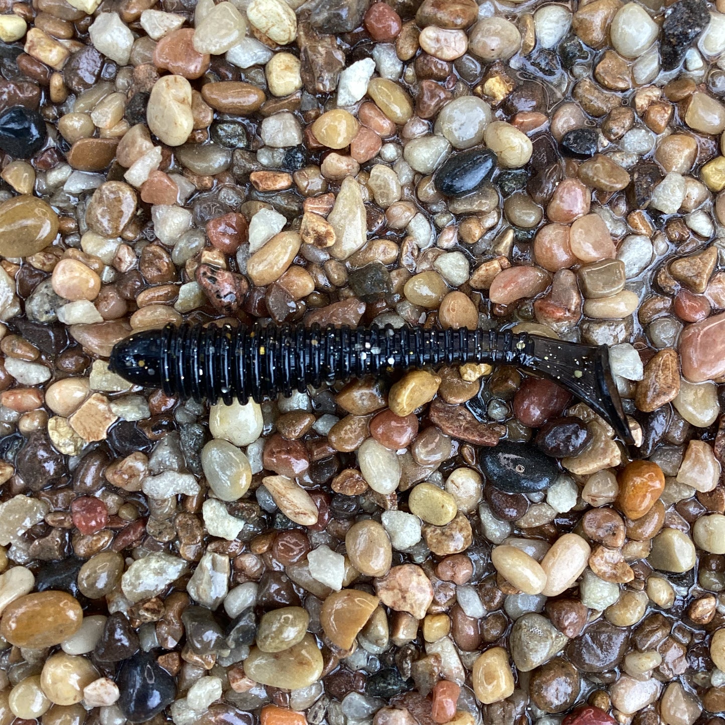 Flats Shad Galaxy 3.2"