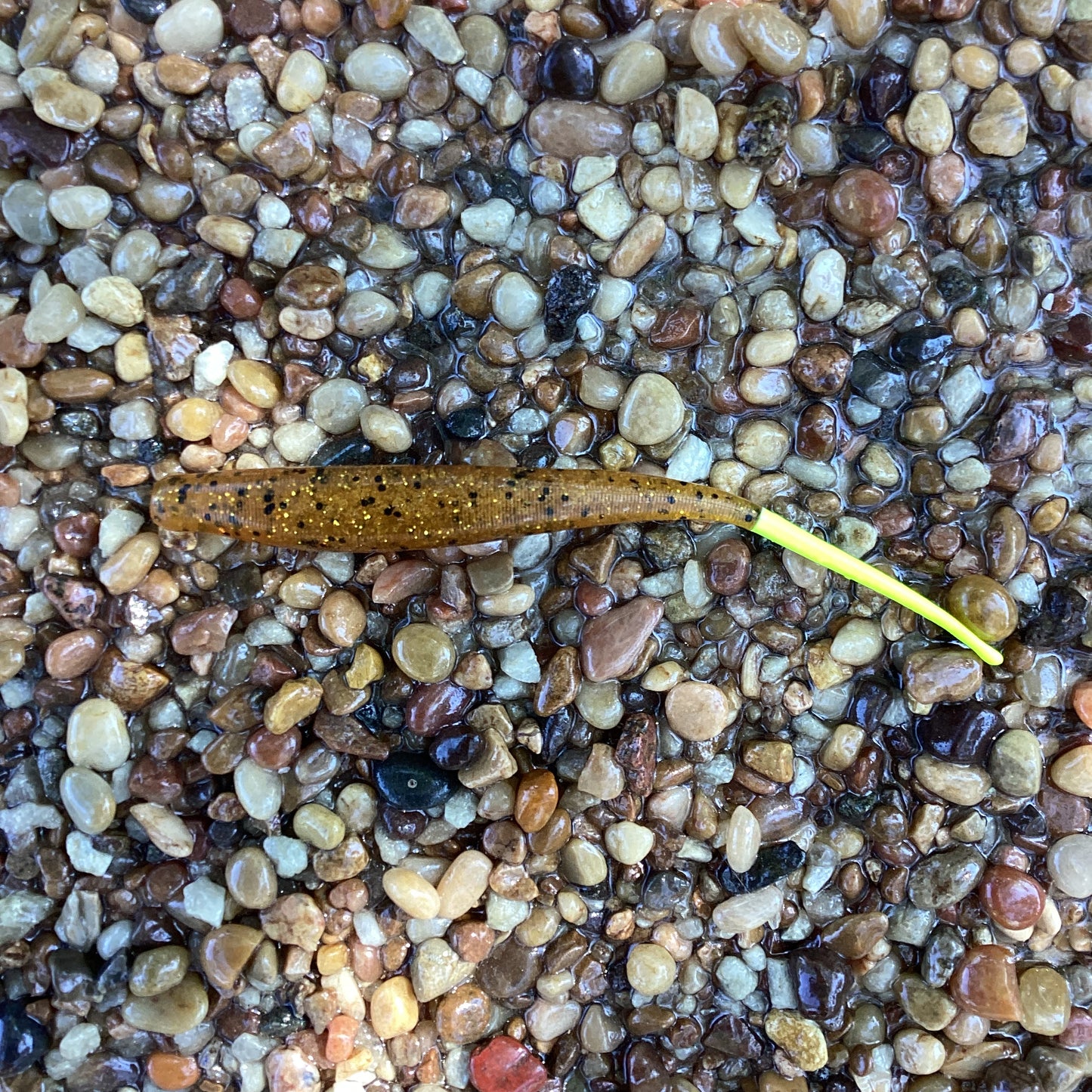 Flats Dart 5” Pumpkin Seed w/chartreuse tail
