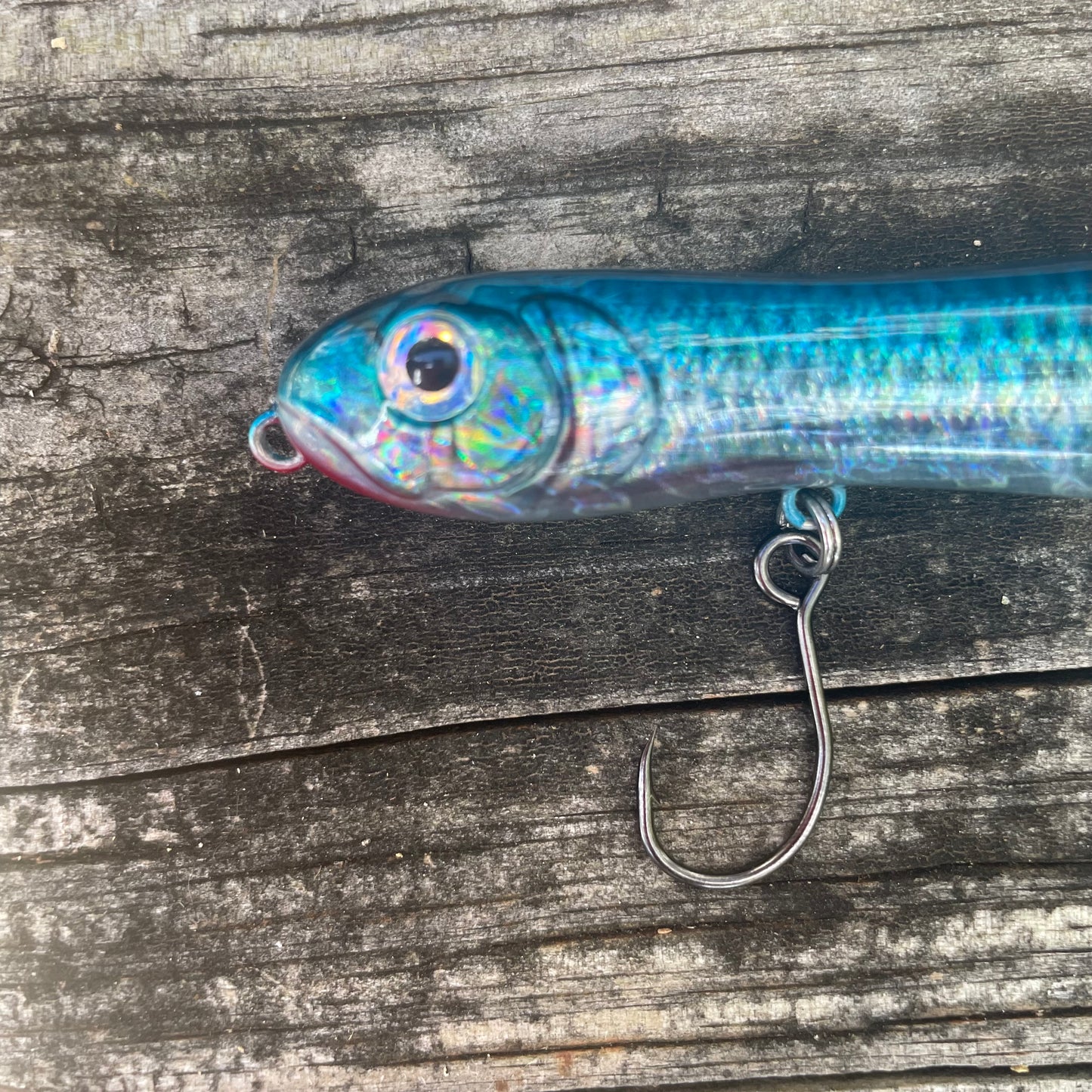 Nutty Knocker Blue Back Skipjack