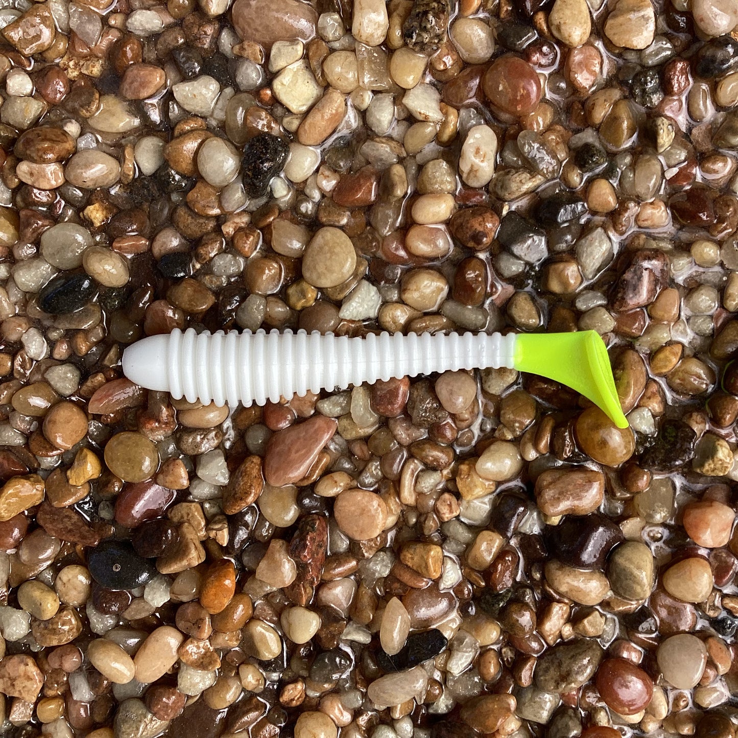 Flats Shad Aransas w/Chartreuse Tail 3.2"