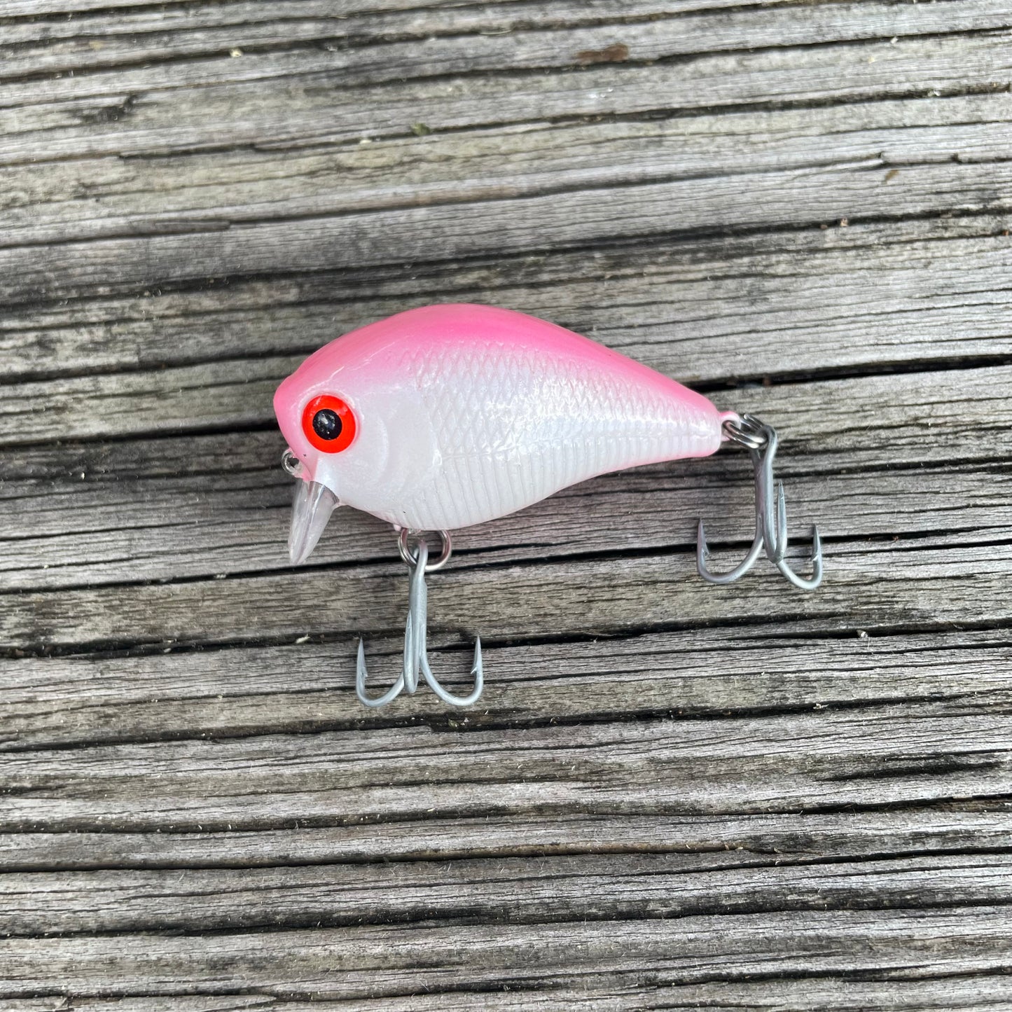 1.75" Mini Wake Pink & White