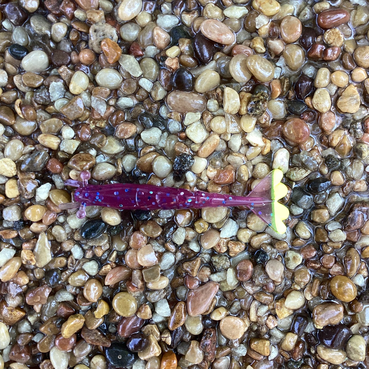 3" Finesse Shrimp Plum w/Chartreuse Tail