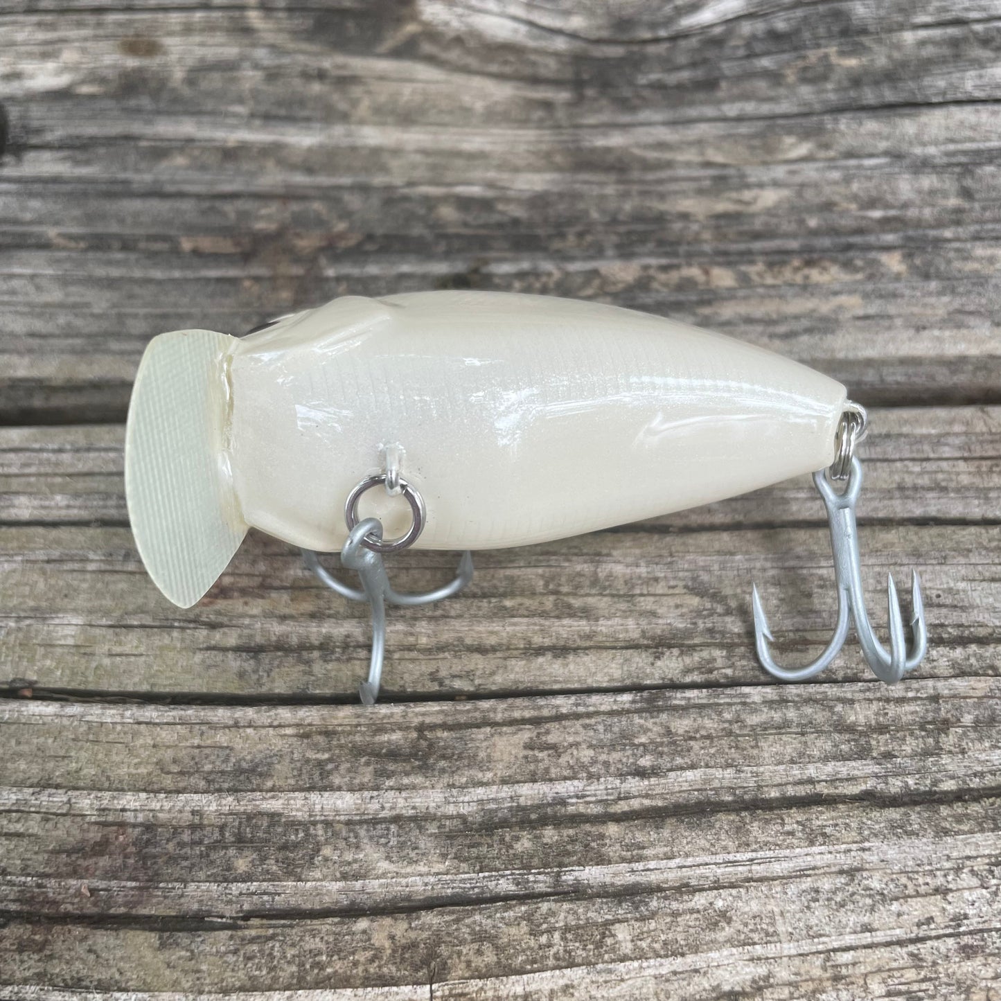 2.5" Wakebait Burned Bone