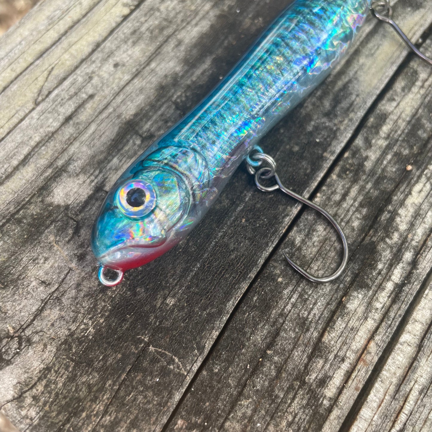 Nutty Knocker Blue Back Skipjack