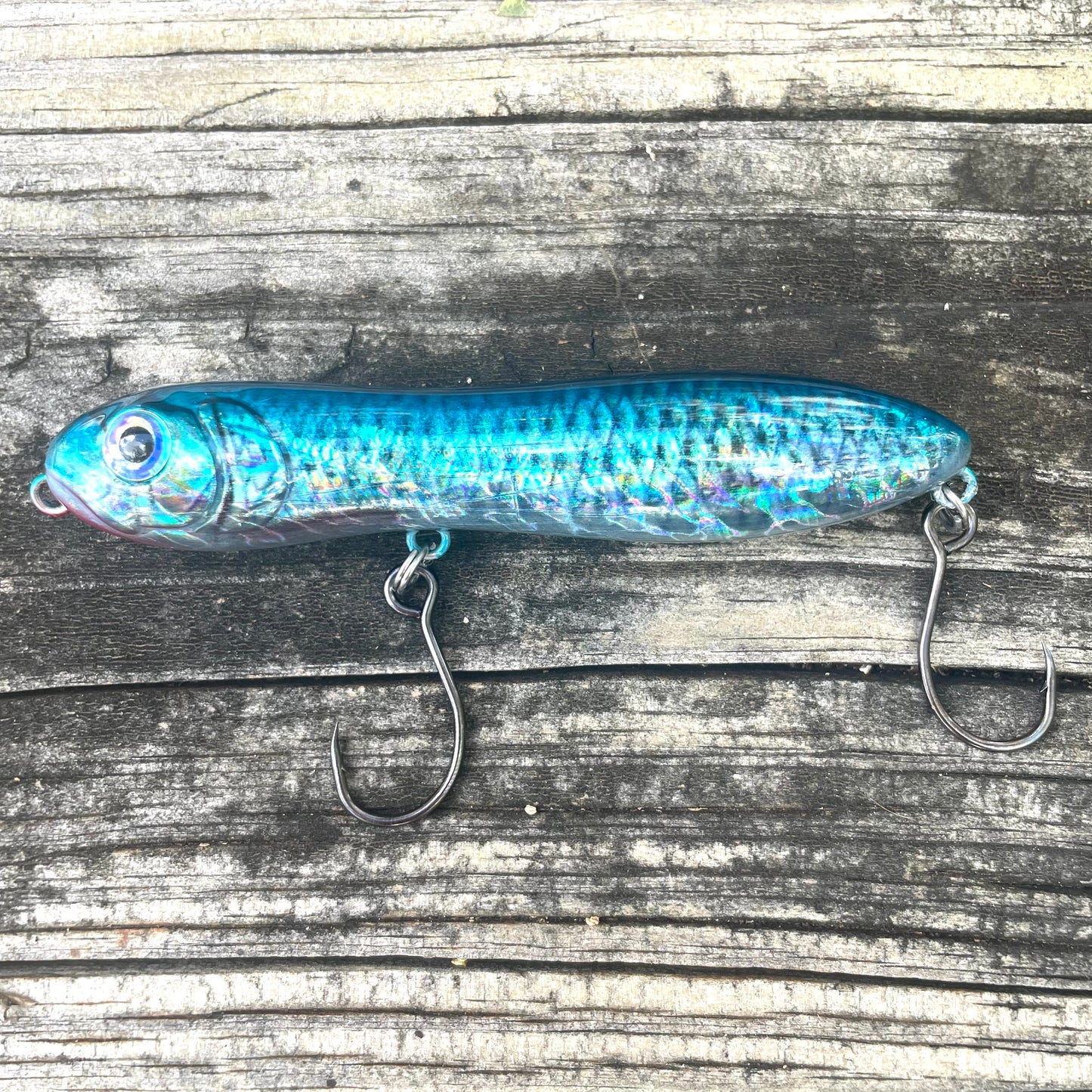 Nutty Knocker Blue Back Skipjack