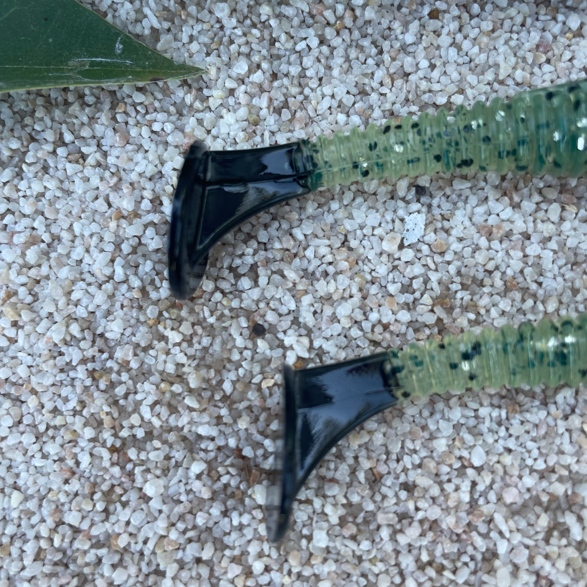 Flats Shad Natural Salt-N-Pepa 3.8” w/black tail dip