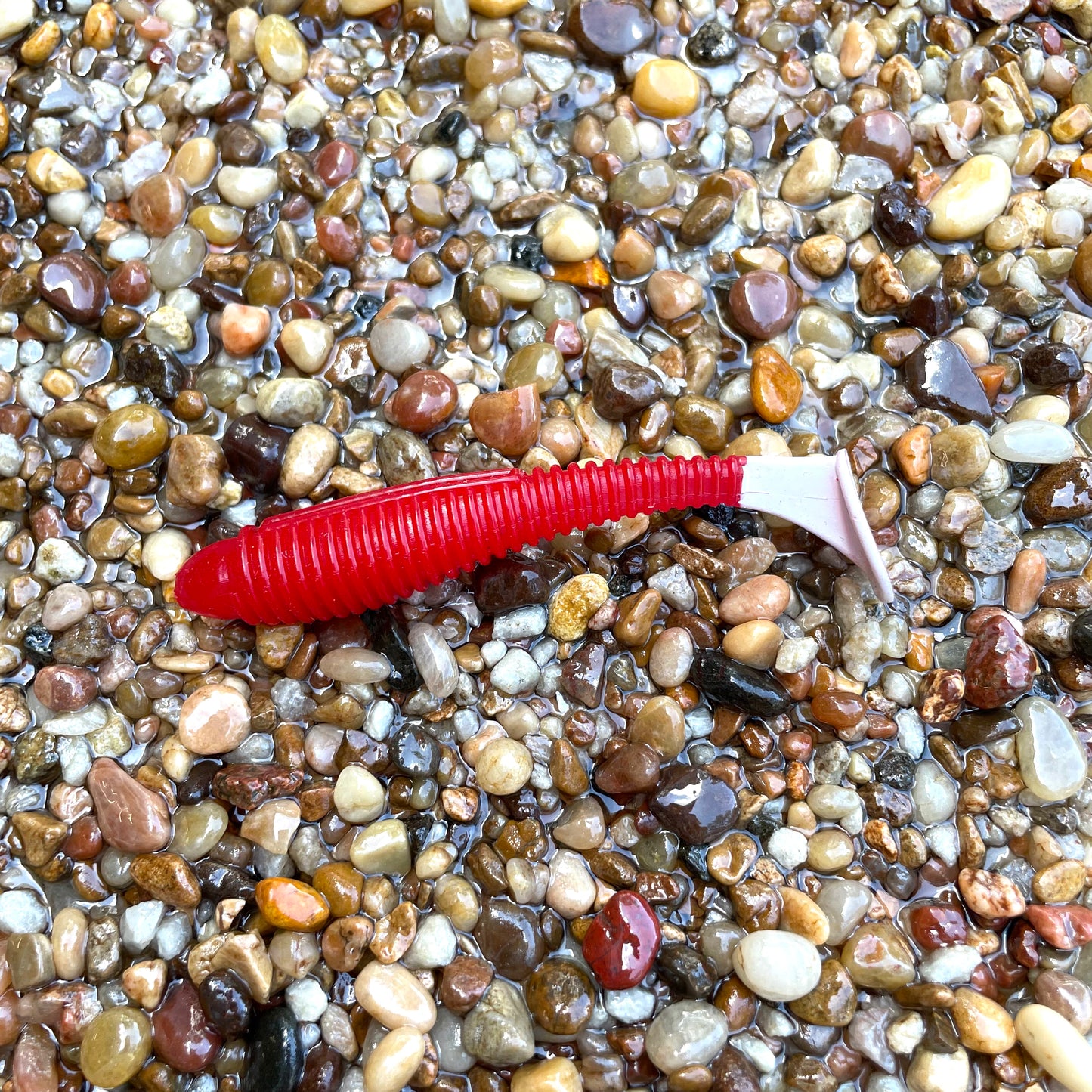 Flats Shad Firetruck 3.8”