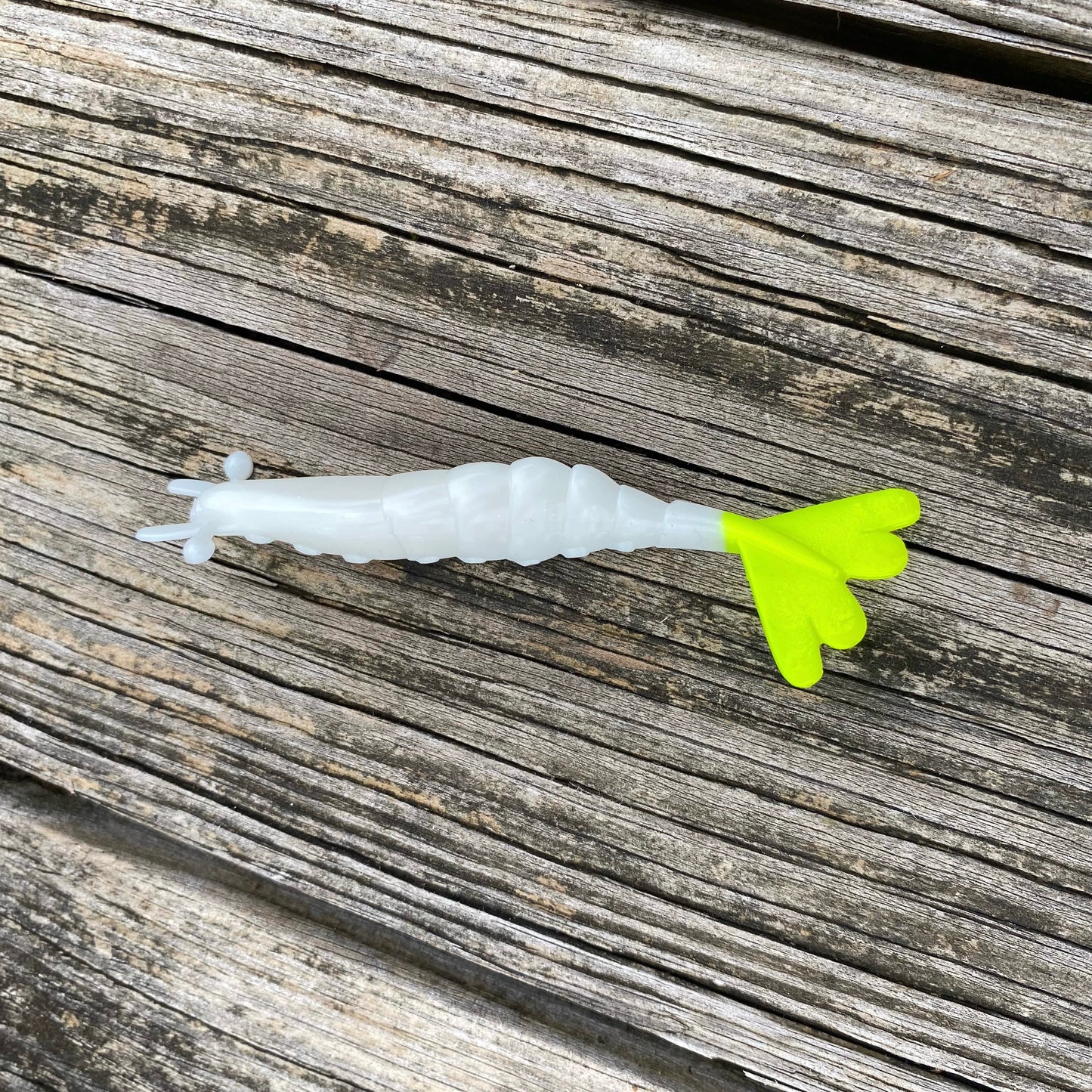 4" Finesse Shrimp Aransas w/Chartreuse tail