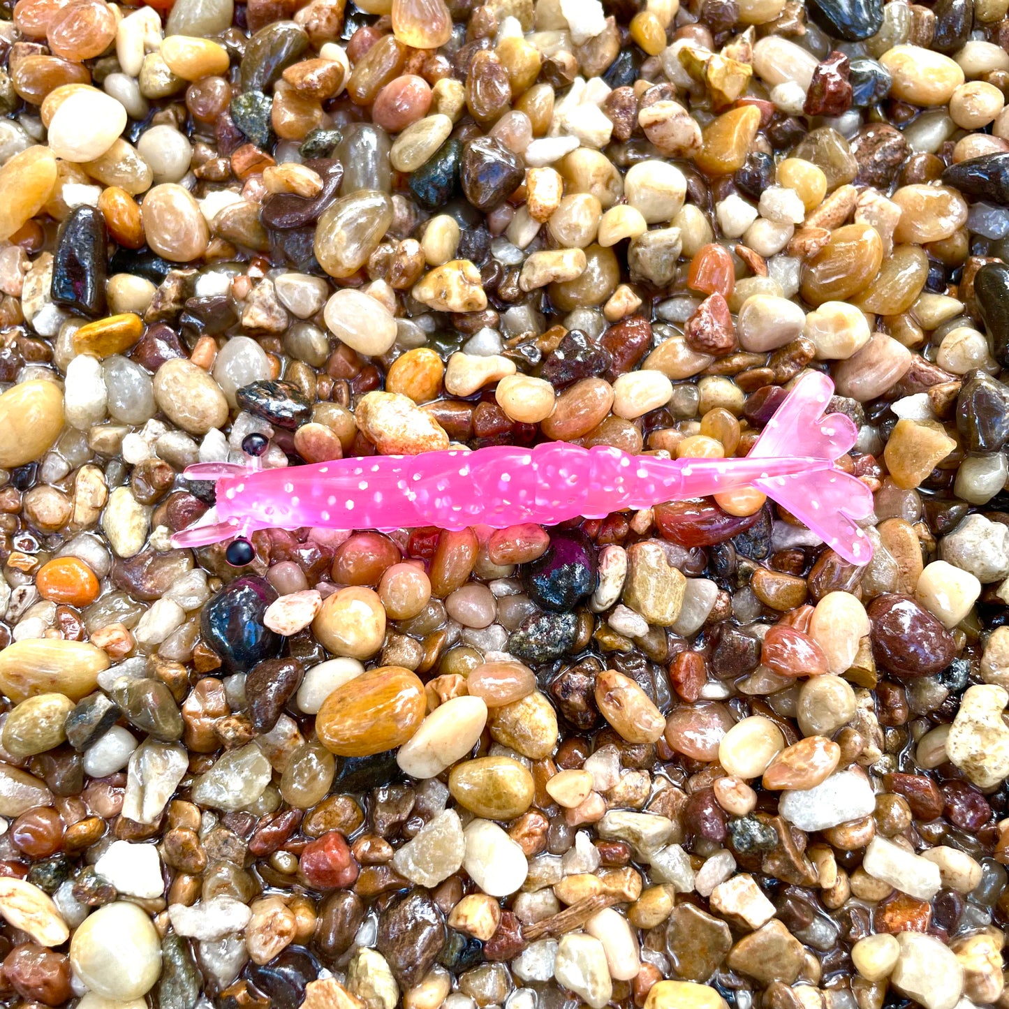 3" Finesse Shrimp Pink Flamingo