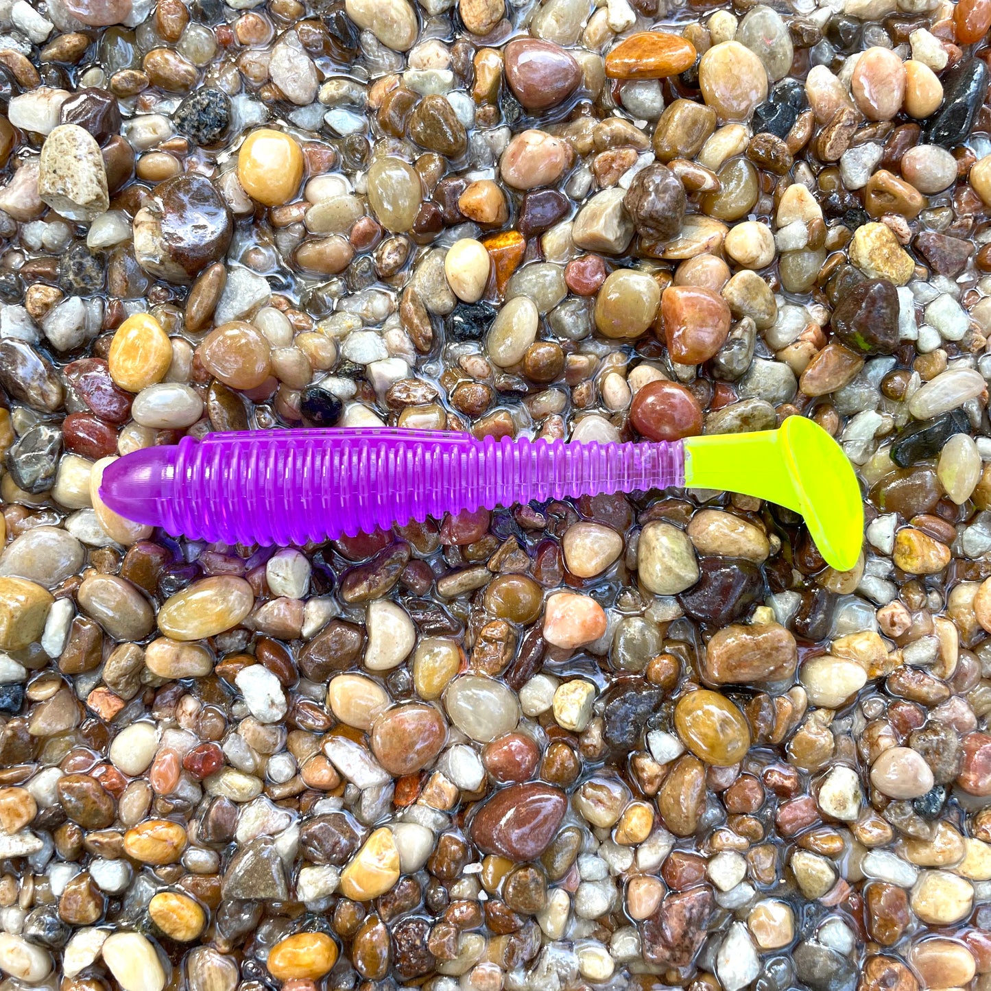 Flats Shad Grape Ape w/Chartreuse Tail 3.2”