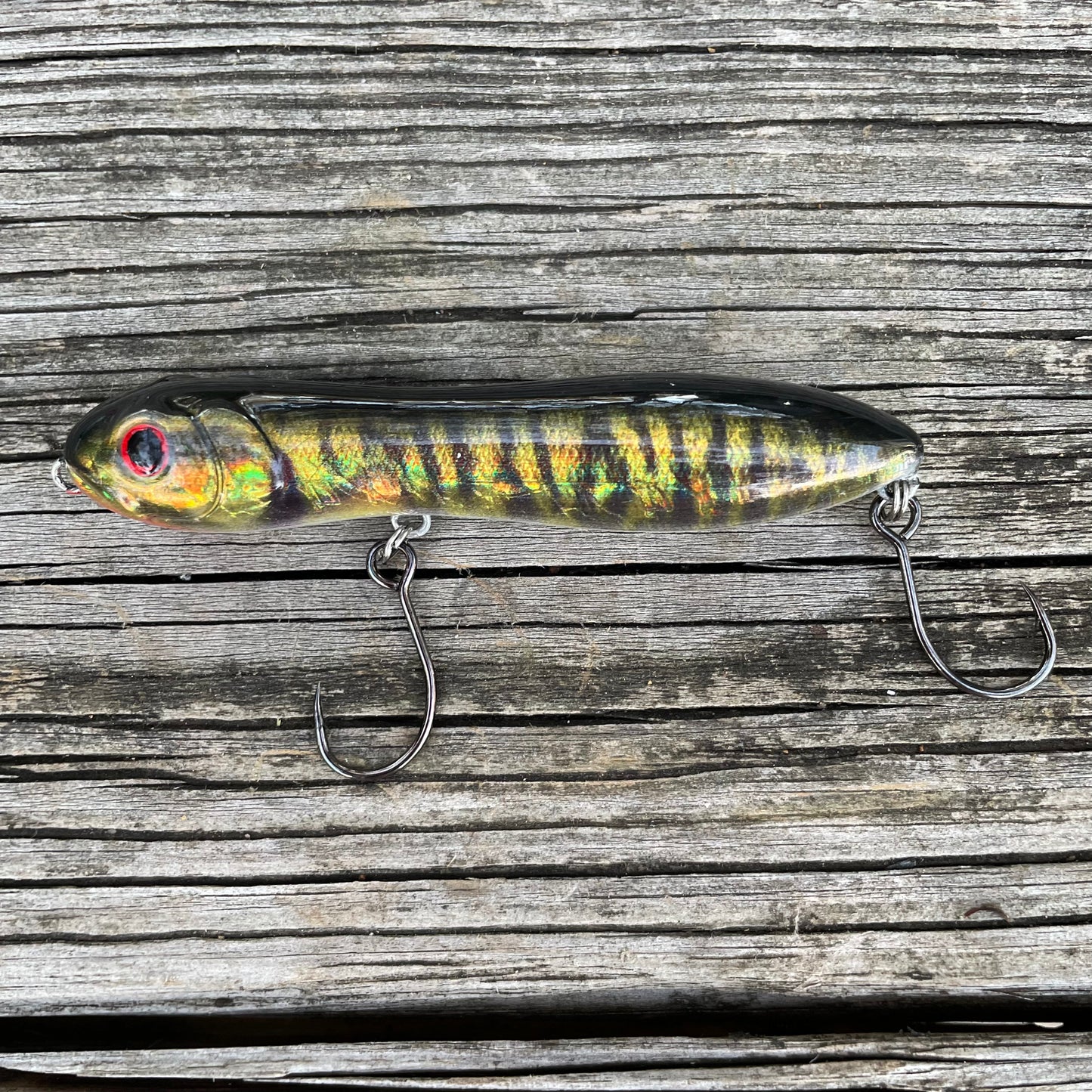 Nutty Knocker Mud Minnow