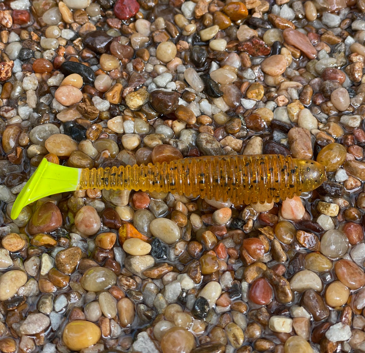 Flats Shad Pumpkin Chartreuse 3.8”