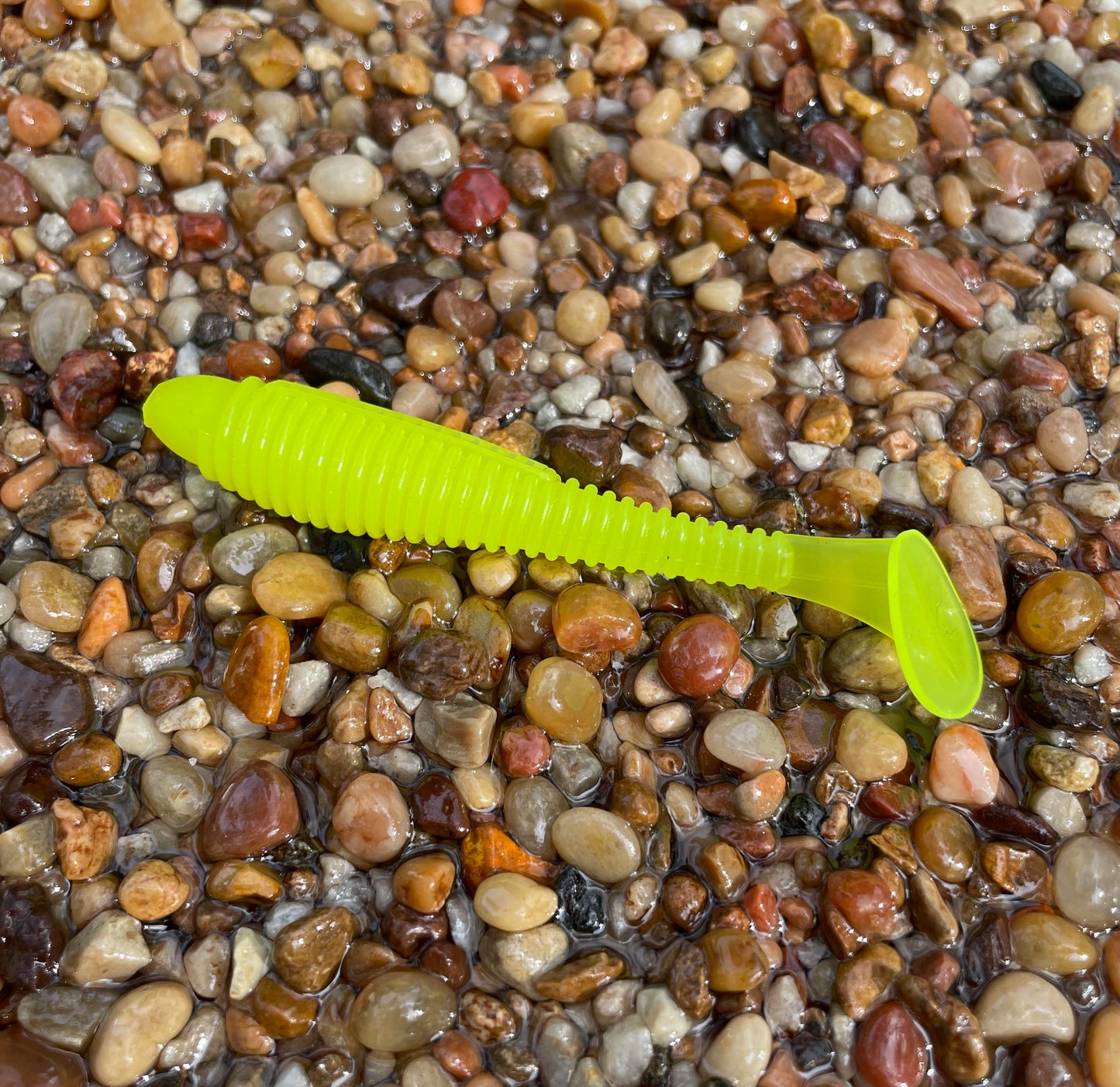 Flats Shad Chartreuse 3.8”