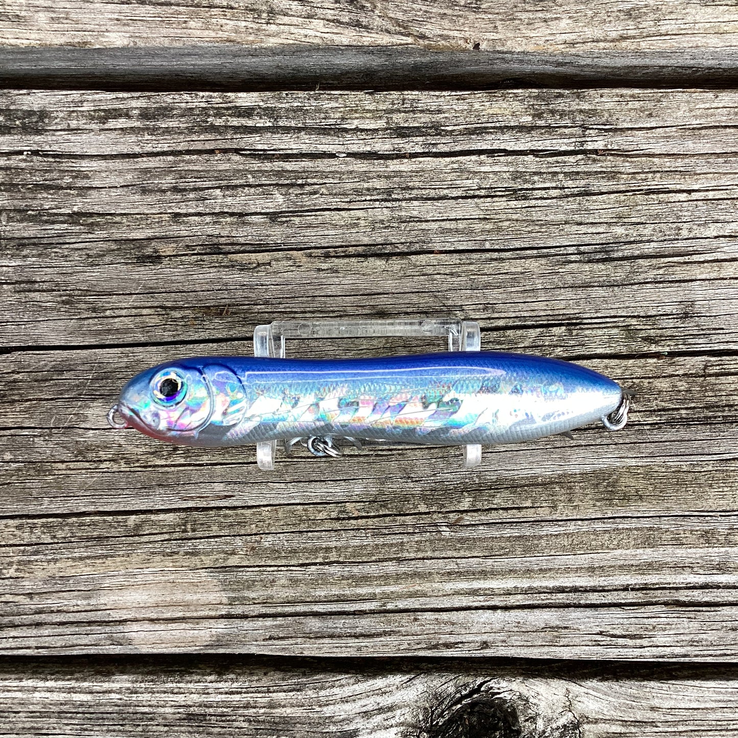 Flatwater Walker Blue Foil