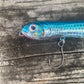 Nutty Knocker Blue Back Skipjack