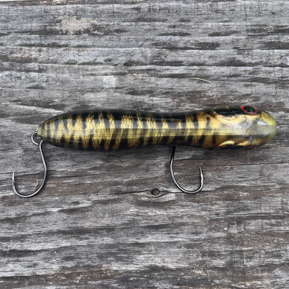 Nutty Knocker Mud Minnow