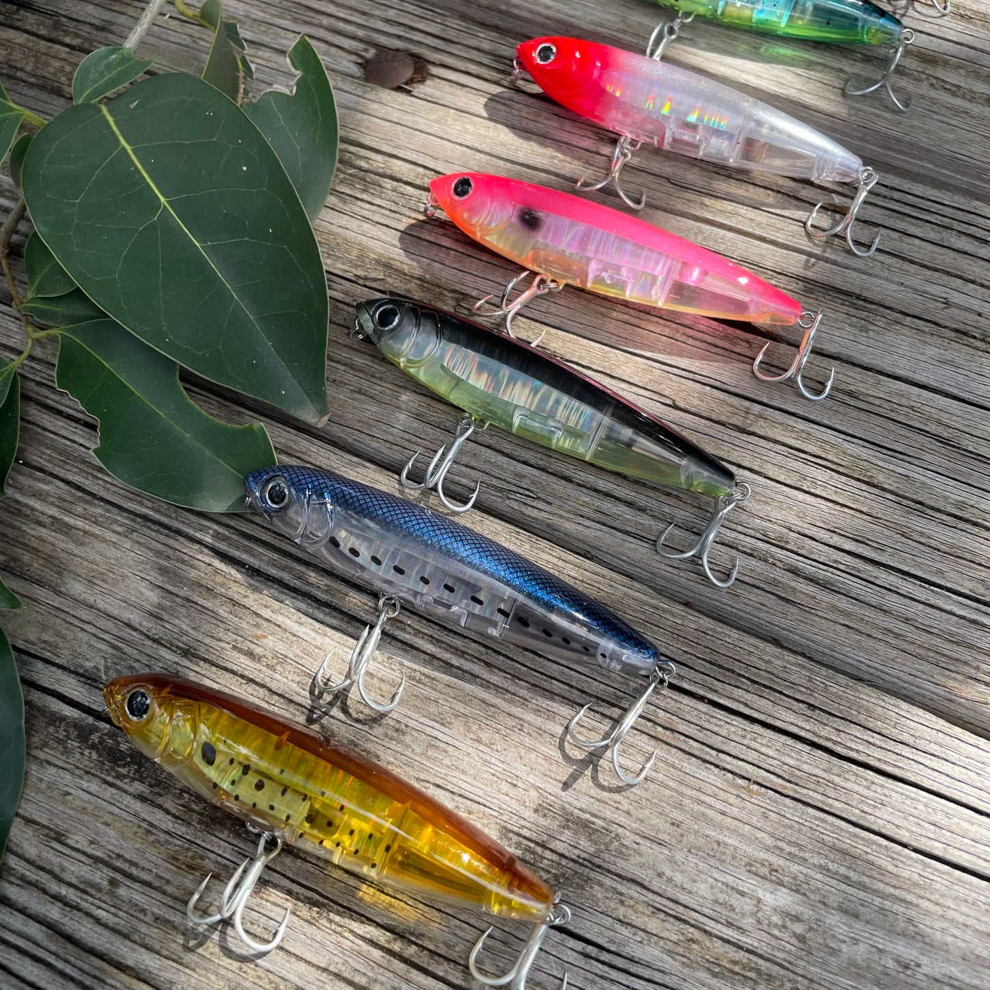 Black Back Topwater Pencil