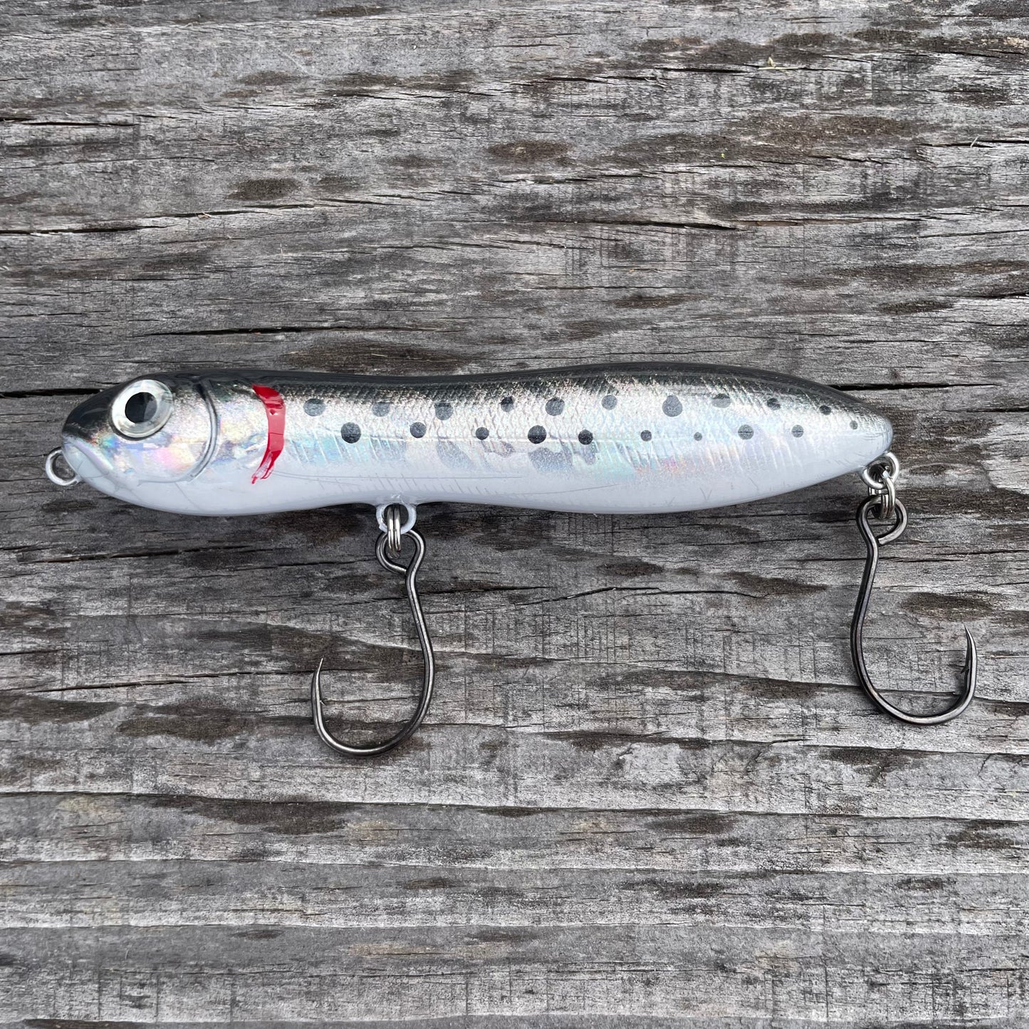 Nutty Knocker Sea Trout