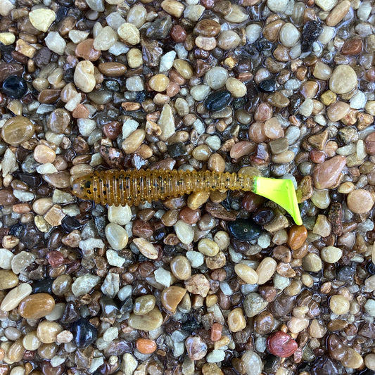 Flats Shad Pumpkin Seed 3.2"