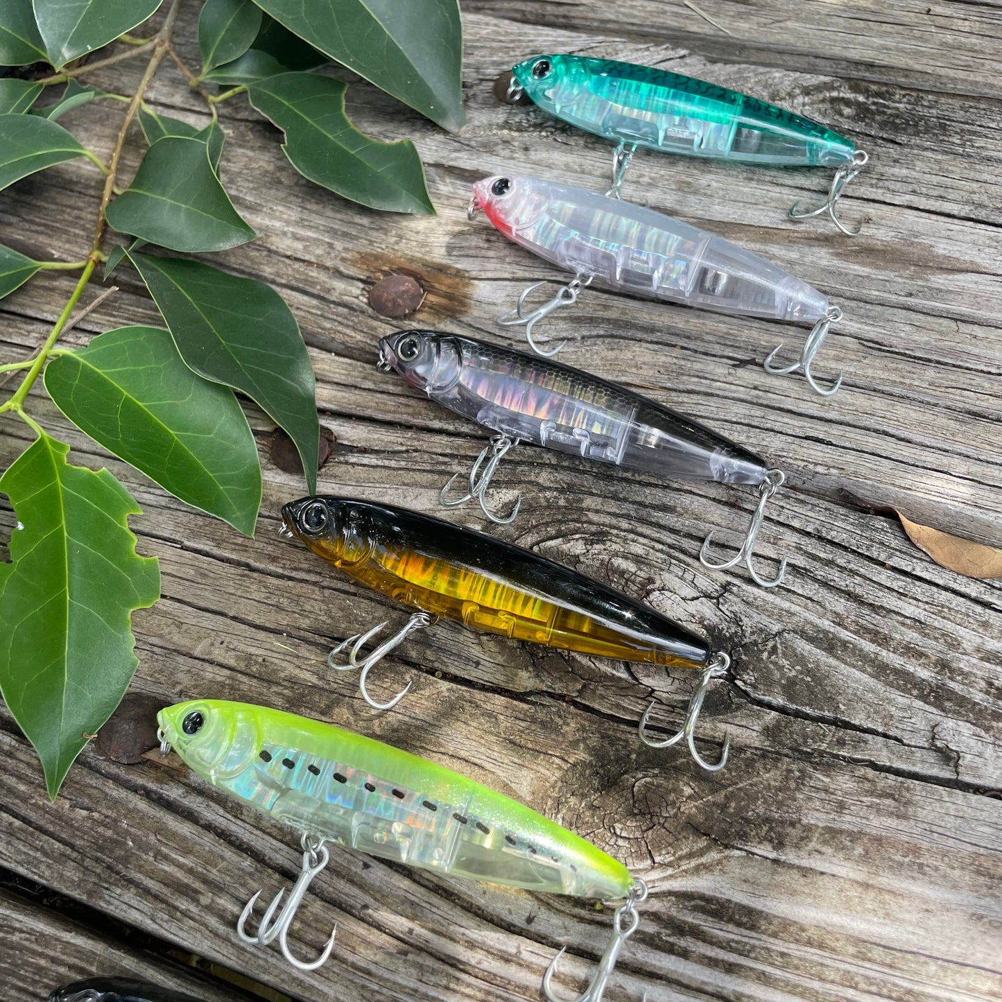 Black Back Topwater Pencil