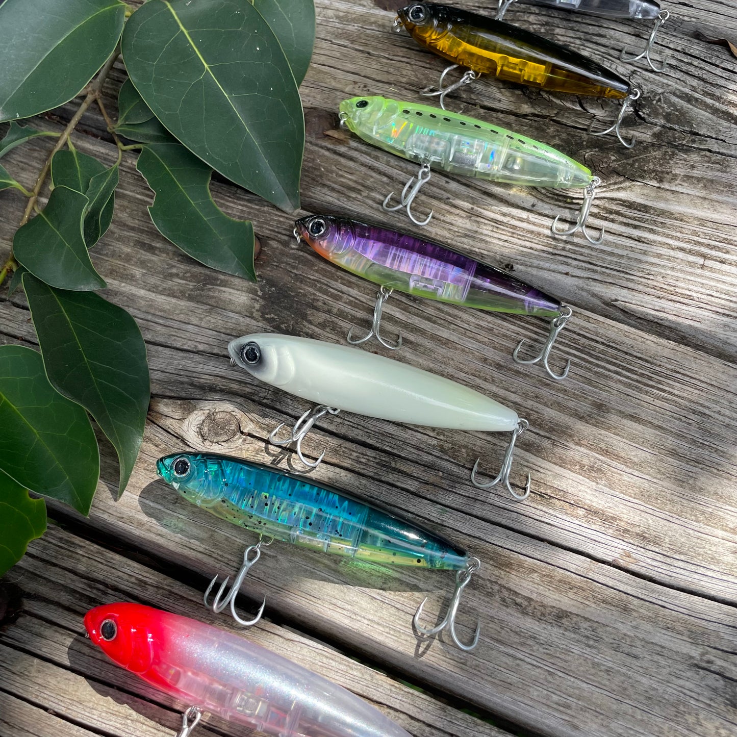 Black Back Topwater Pencil