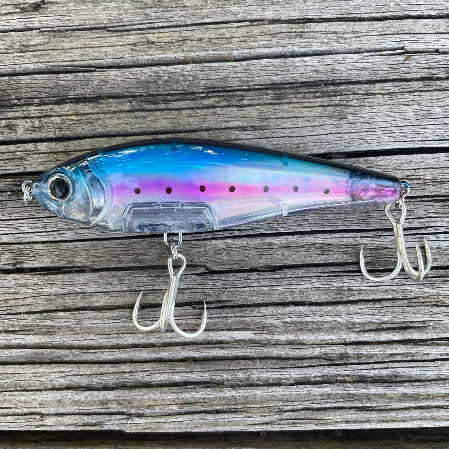 Slow Sinking Blue Back