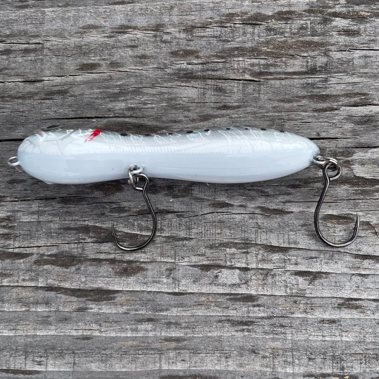 Nutty Knocker Sea Trout