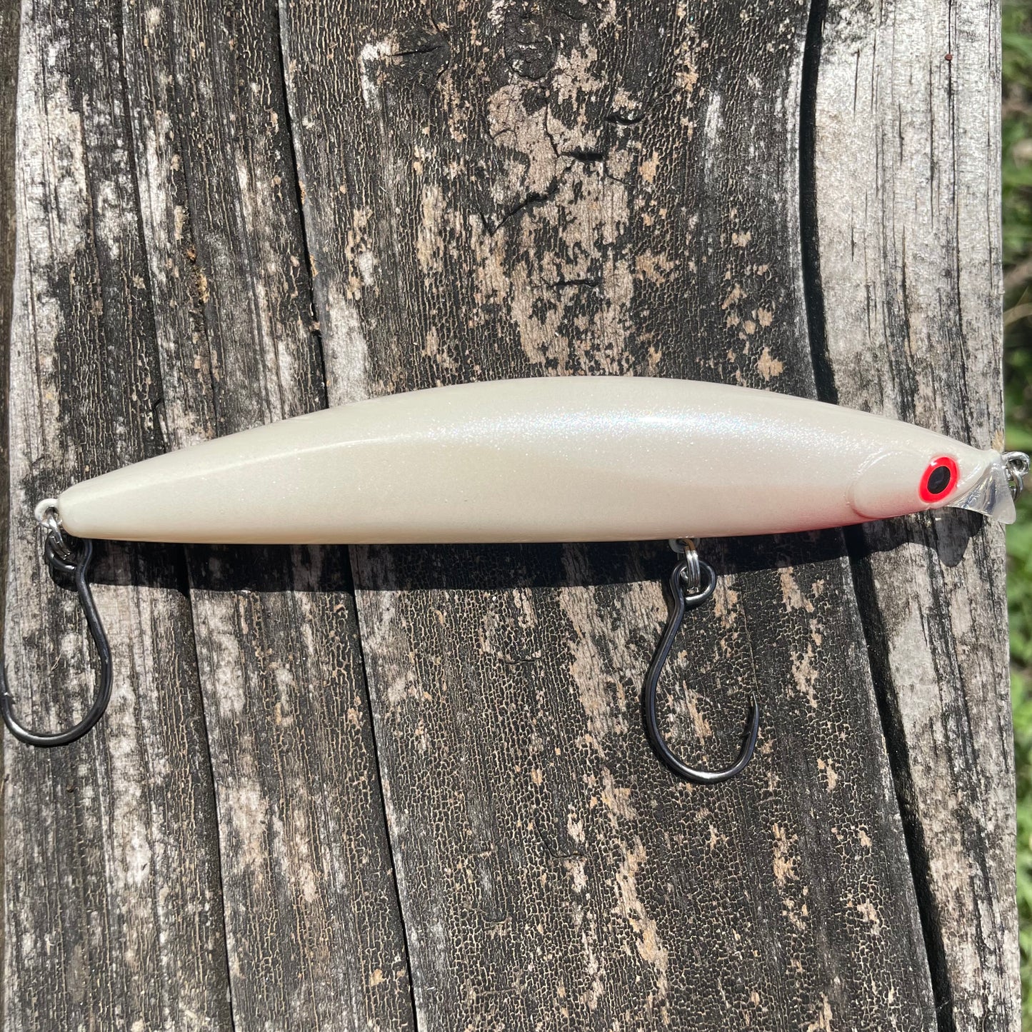 Mule Lipped Mullet Burned Bone