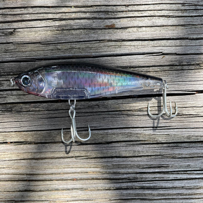Slow Sinking Black Back