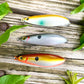Weedless Silver Spoon