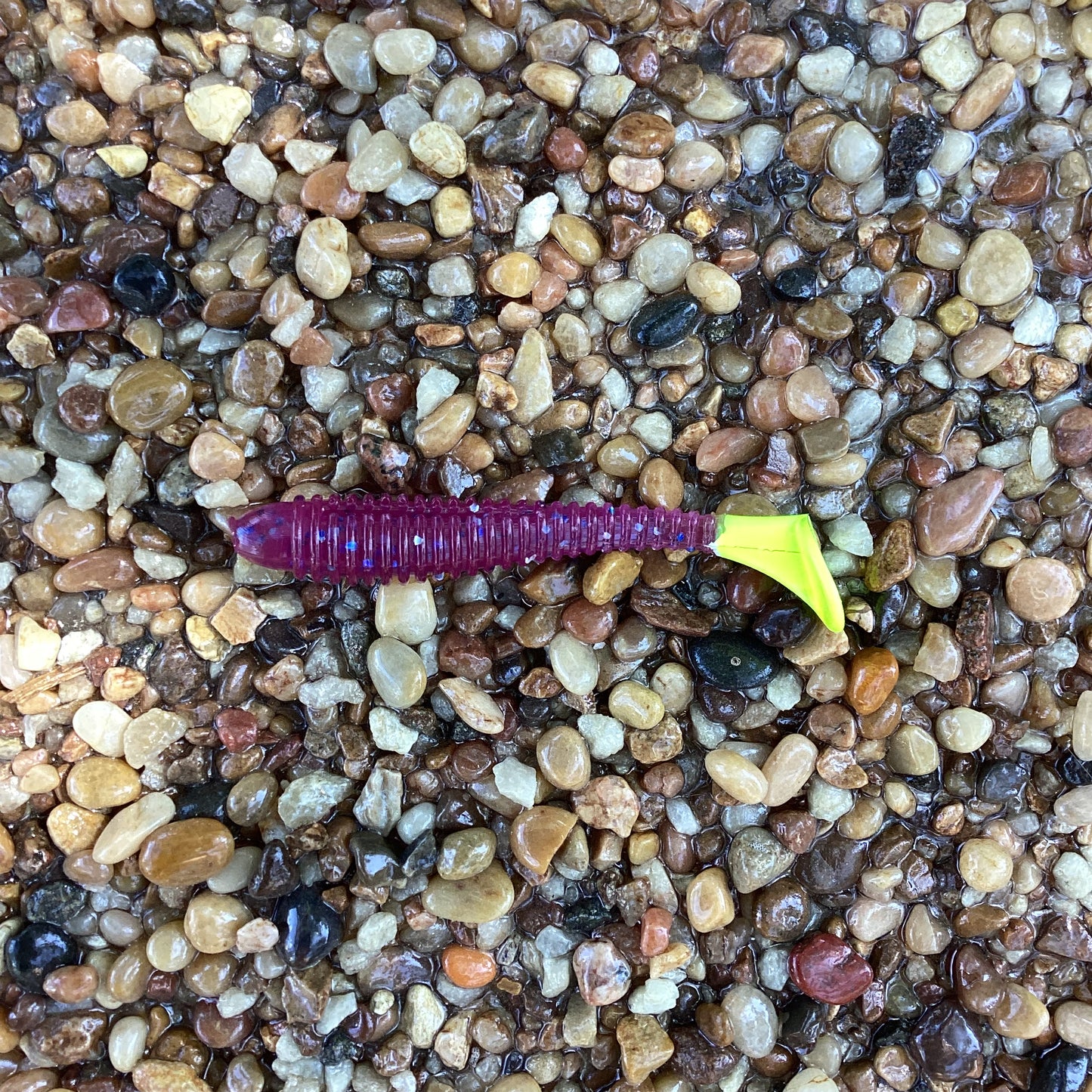 Flats Shad Plum w/Chartreuse Tail 3.2”