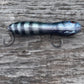 Nutty Knocker Black Drum