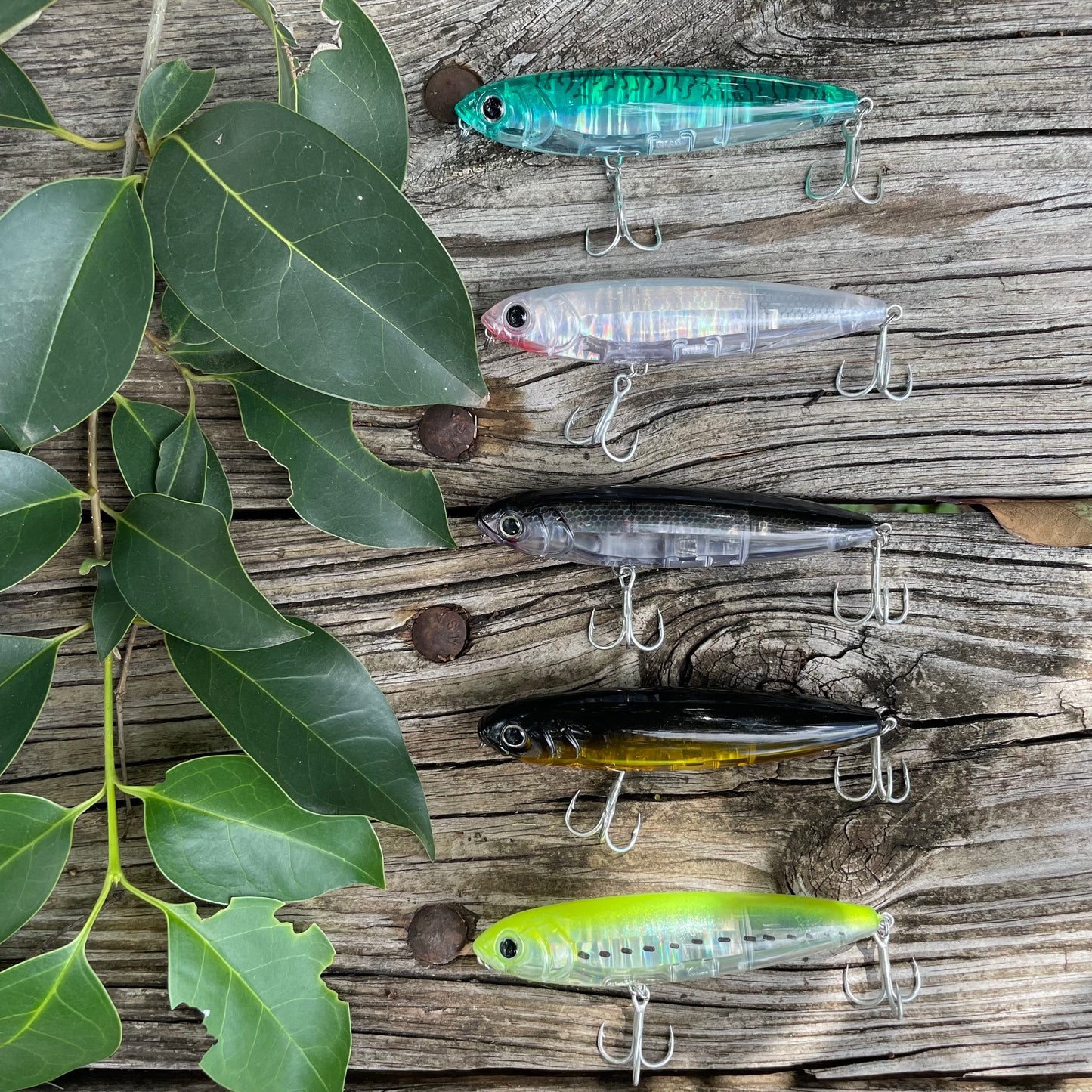Black Back Topwater Pencil