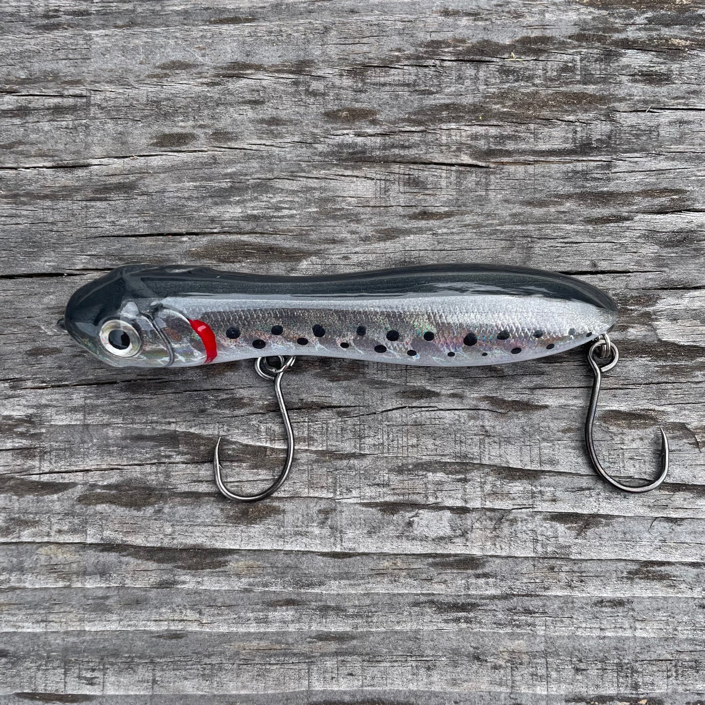 Nutty Knocker Sea Trout