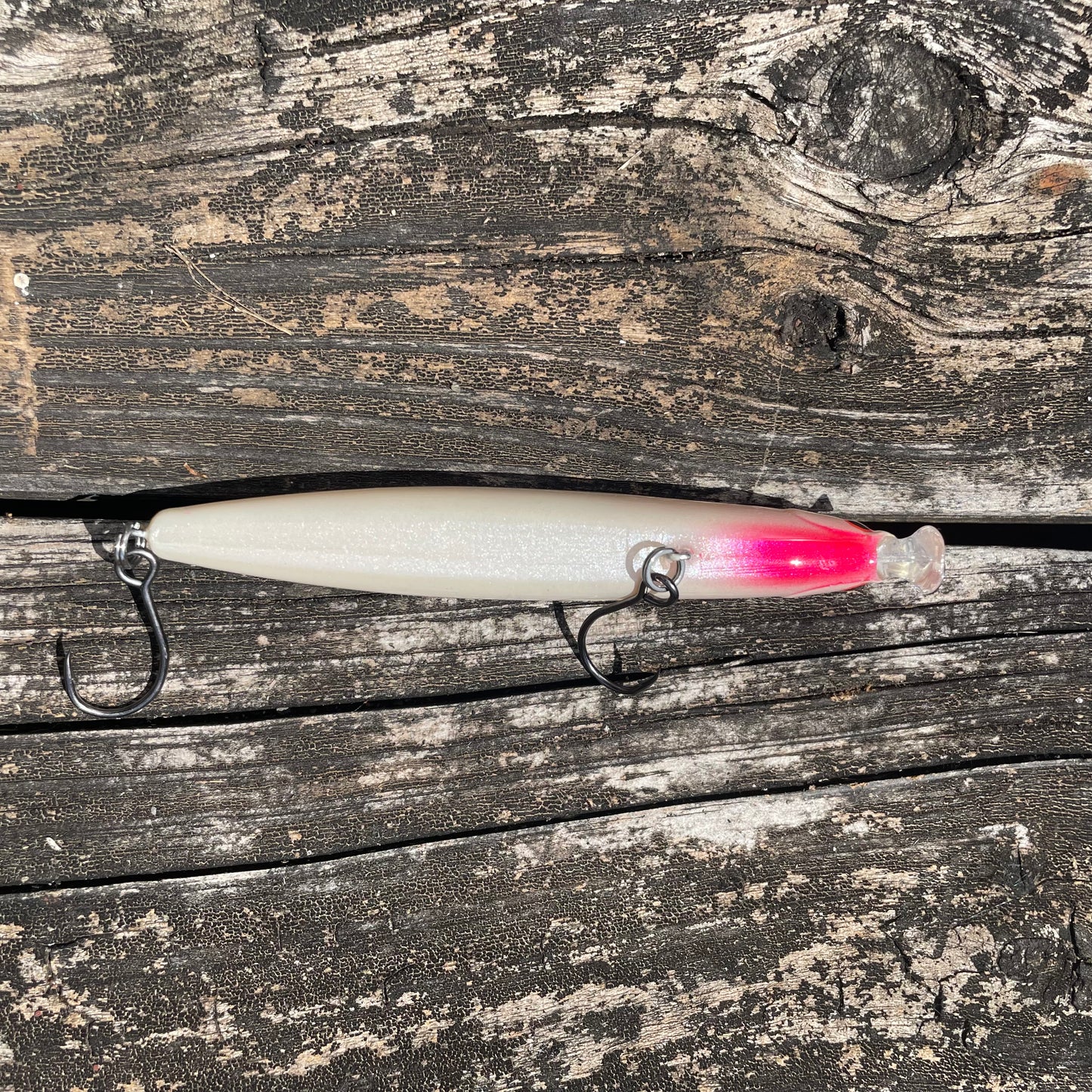 Mule Lipped Mullet Burned Bone