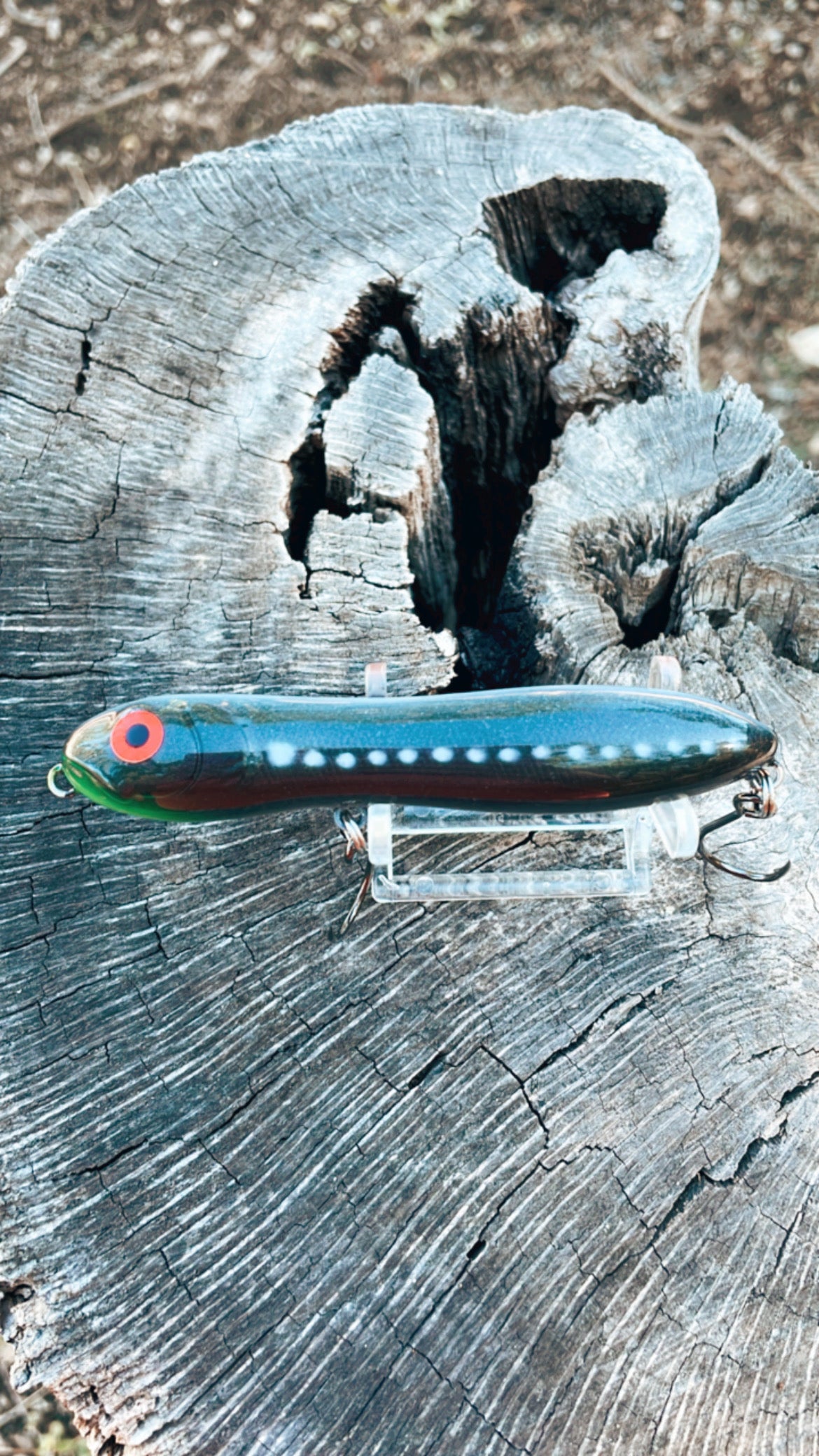 Flatwater Walker Dragonfly