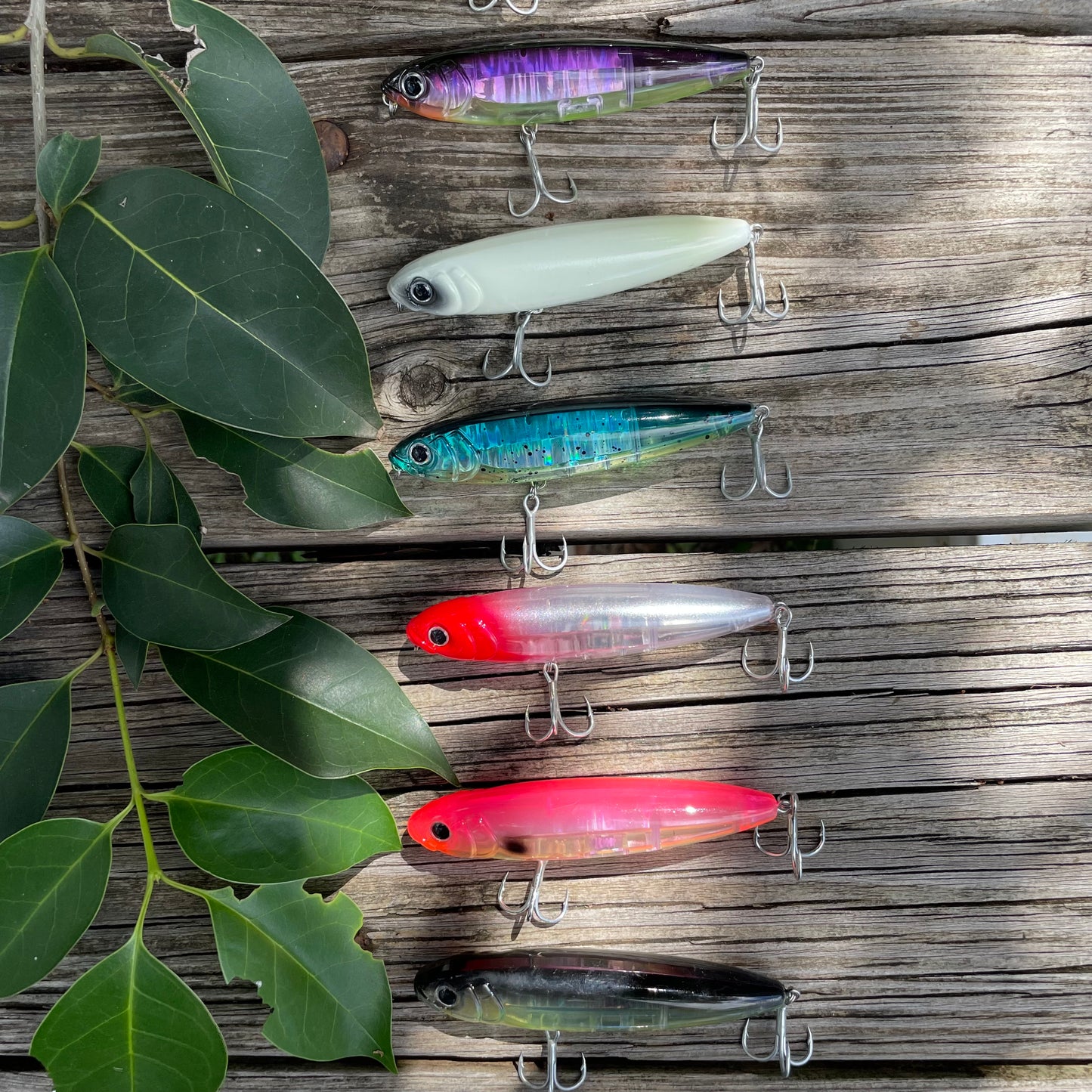Black Back Topwater Pencil