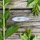 Weedless Silver Spoon