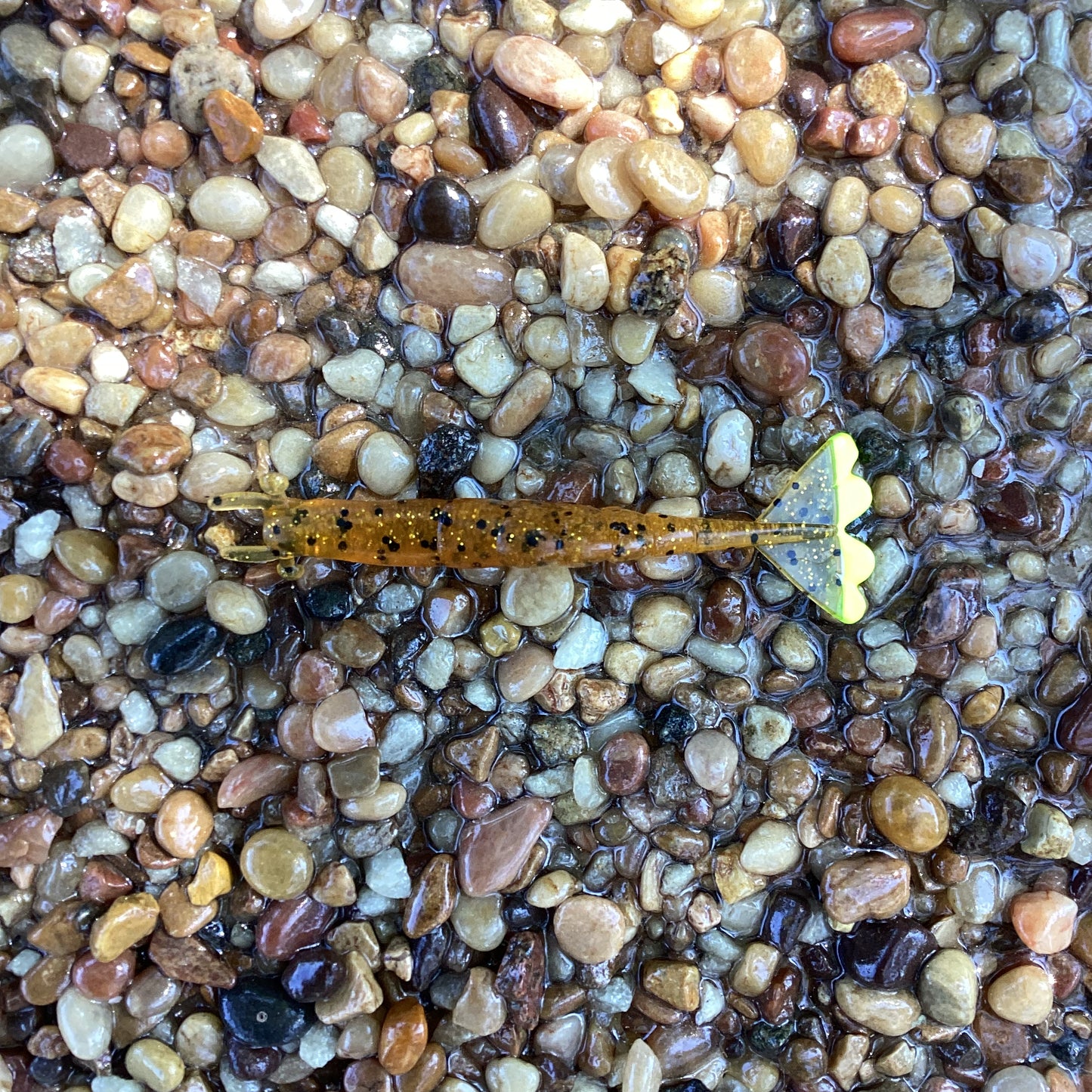 4" Finesse Shrimp Pumpkin Seed w/Chartreuse Tail