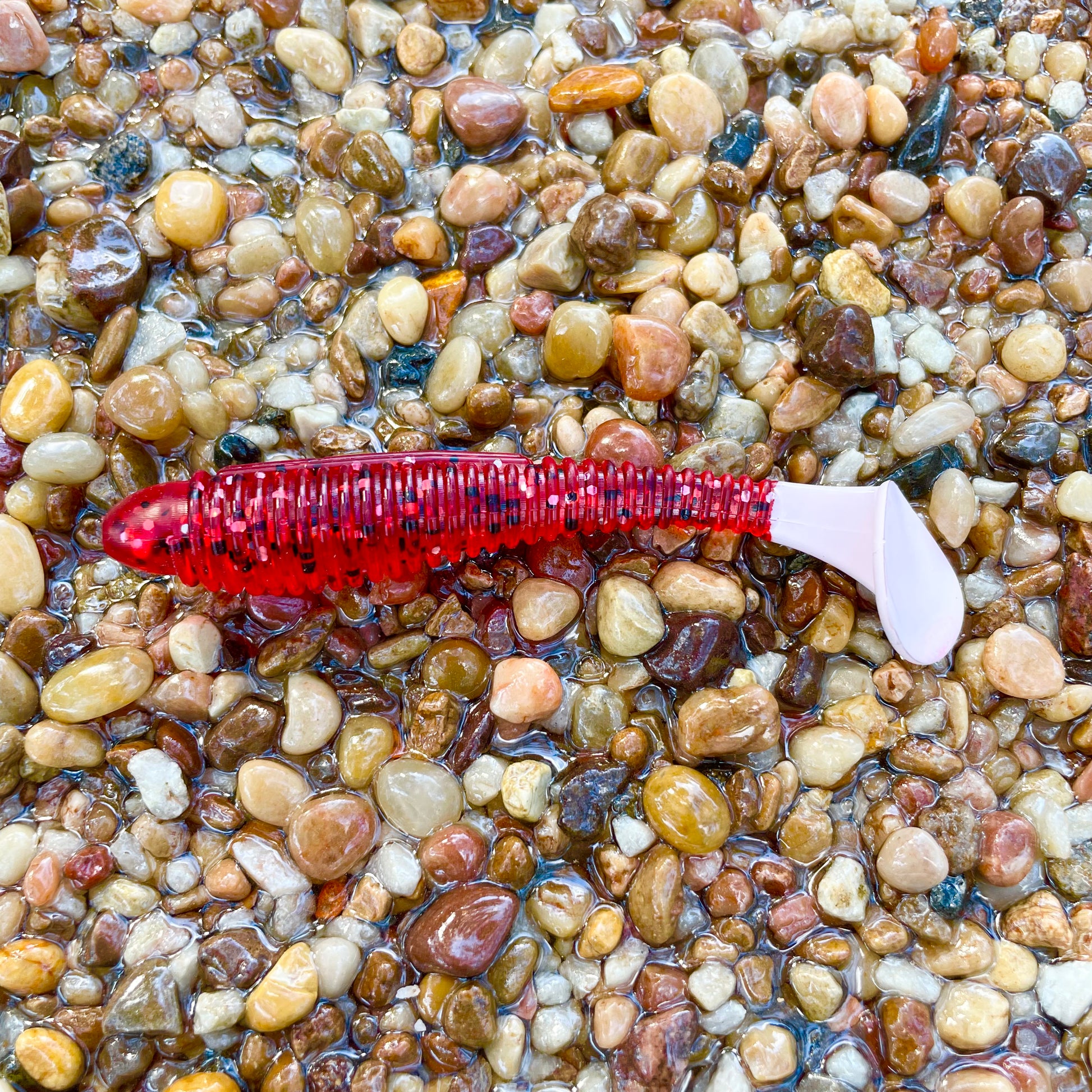 Flats Shad Strawberry w/White Tail 3.8 – Flatwater Baits