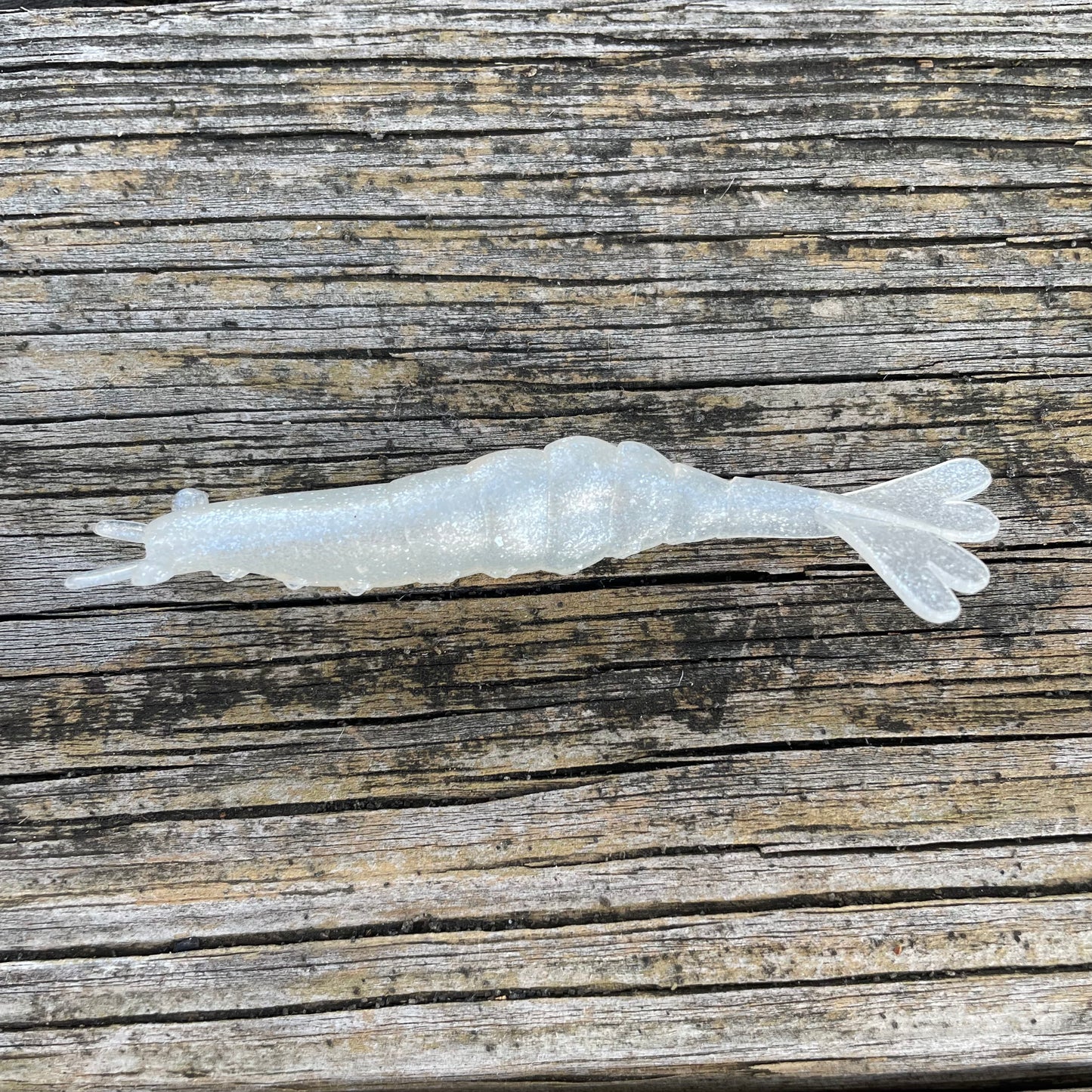 4" Finesse Shrimp Diamond Dust No Tail Dip