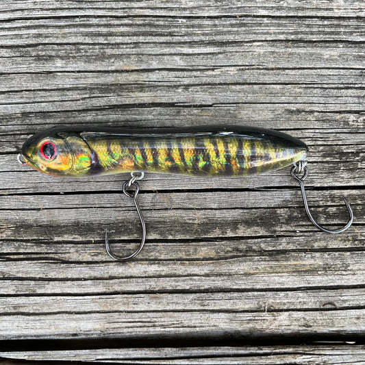 Flatwater Walker Mud Minnow